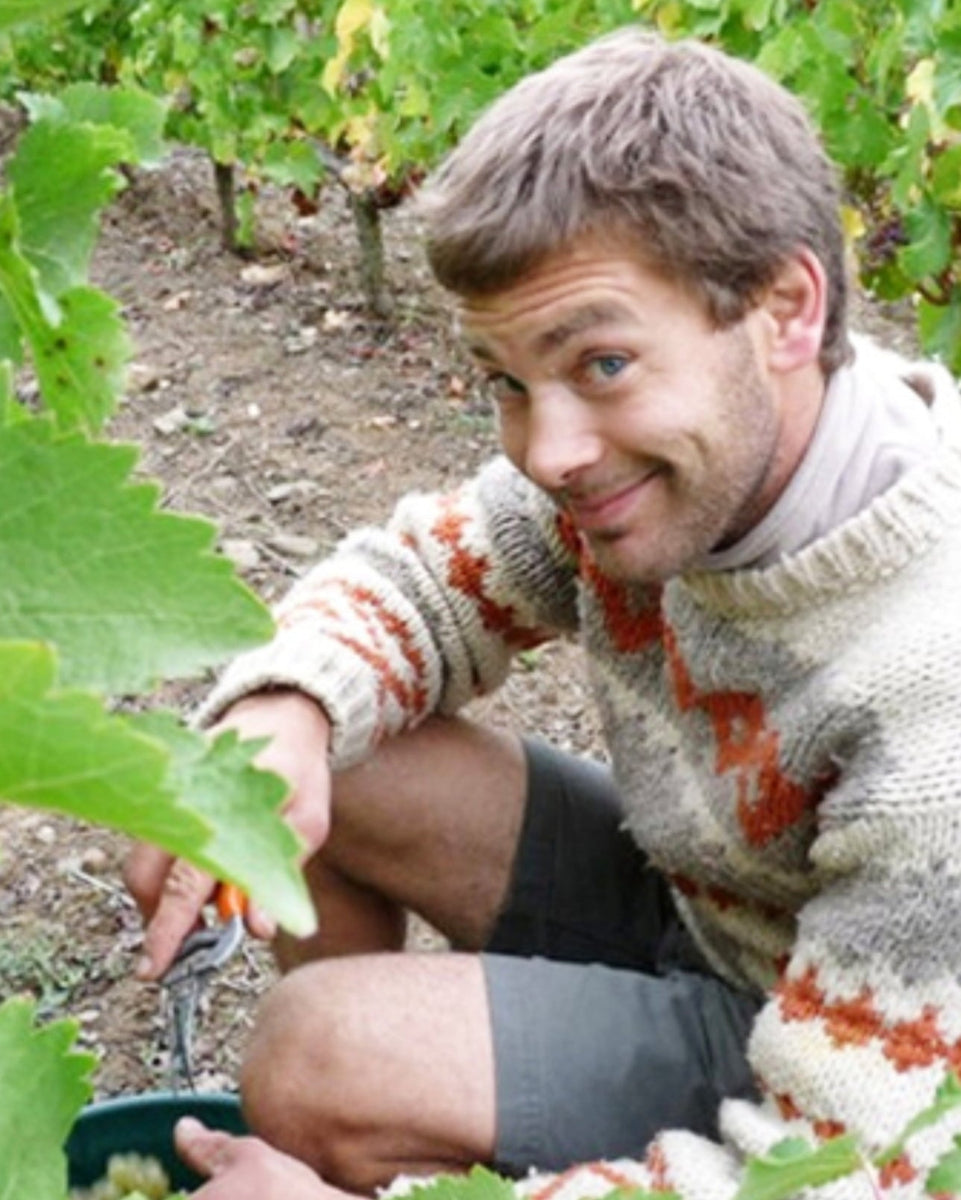 Picture of Jean-Francois Chéné, owner of Domaine La Coulée d'Ambrosia, picking grapes in a vineyard