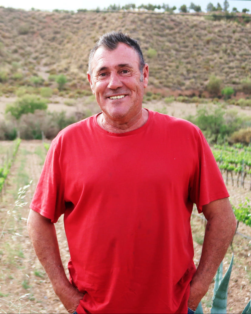 Picture of Ramon Saavedra, owner of Bodega Cauzon, posing in a vineyard.