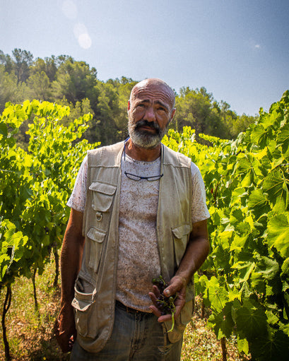 Picture of Massimo Marchiori, one of the owners of Partida Creus, walking among some vines.