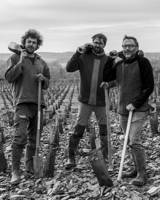 Picture of three men standing in a vineyard, holding farming equipment and a wine bottle. 