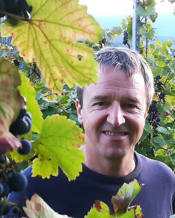 Picture of Franz Strohmeier behind some grape leaves, amid a vineyard